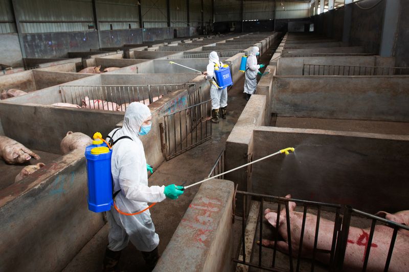 &copy; Reuters. Veterinários e cuidadores de animais usam roupas de proteção durante desinfecção de fazenda de suínos na China após casos de peste suína africana