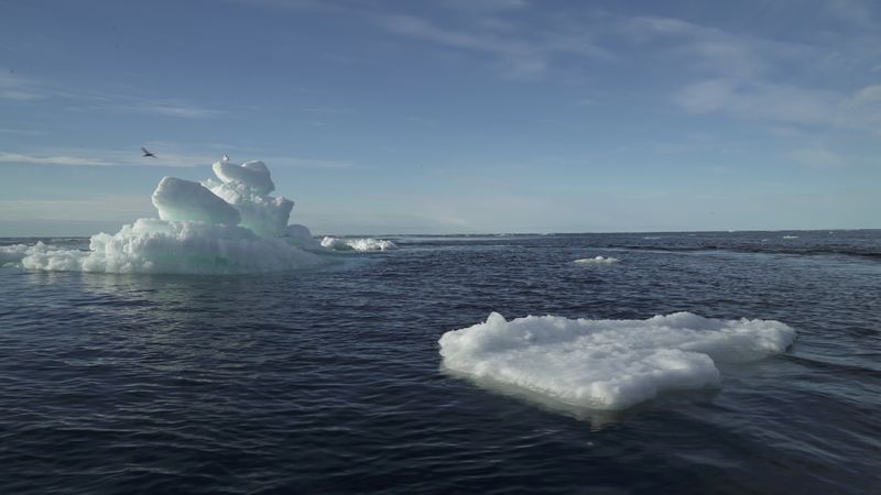 &copy; Reuters. FILE PHOTO: Floating ice is seen during the expedition of the The Greenpeace&apos;s Arctic Sunrise ship at the Arctic Ocean