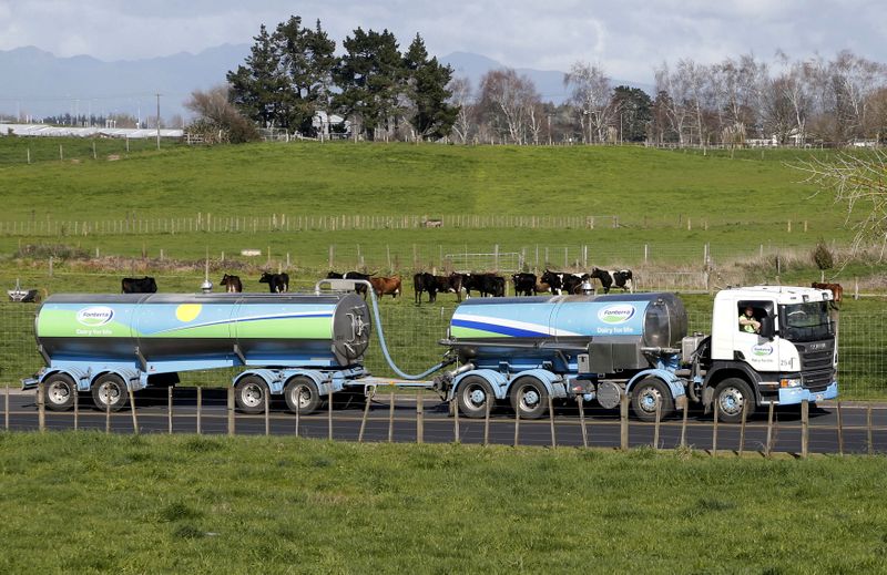 © Reuters. FILE PHOTO: File picture of a Fonterra milk tanker driving past dairy cows as it arrives at Fonterra's Te Rapa plant near Hamilton, New Zealand
