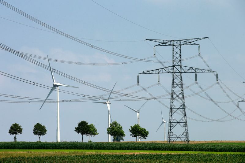 © Reuters. FRANCE: UNE FORTE PART DE RENOUVELABLES ENVISAGEABLE SOUS CONDITIONS
