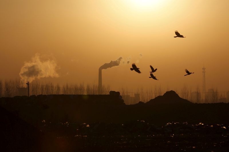 © Reuters. FILE PHOTO: Birds fly over a closed steel factory where chimneys of another working factory are seen in background, in Tangshan