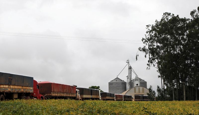 &copy; Reuters. Caminhões aguardam carregamentos com soja em Campo Verde (MT)