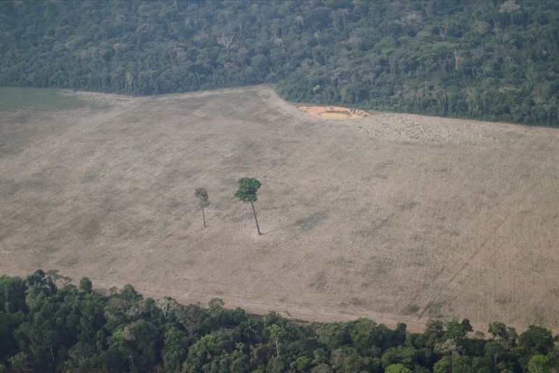 &copy; Reuters. Área desmatada da floresta amazônica na região de Porto Velho (RO)