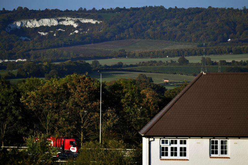 © Reuters. FILE PHOTO: Chalk cliffs line the countryside near Chapel Down Winery's Kit's Coty vineyard in Aylesford