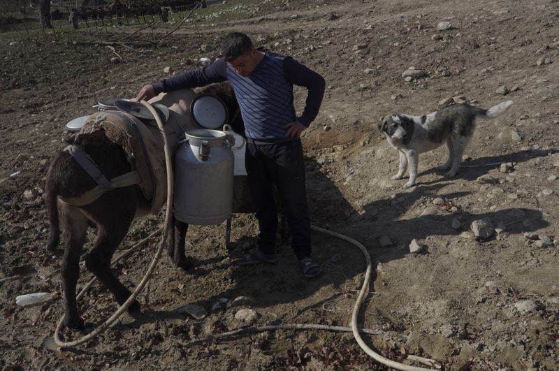 &copy; Reuters. Local resident Nverd Avazenyan collects water in divided Taghavard village in Nagorno-Karabakh region