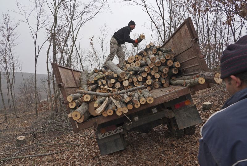 © Reuters. A local resident puts logs cut for firewood in the back of a truck near the village of Taghavard in the region of Nagorno-Karabakh