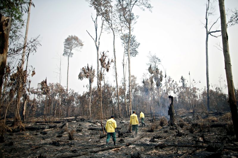 &copy; Reuters. Brigada de incêndio do Ibama controla chamas em trecho da Floresta Amazônica próximo à cidade de Apuí