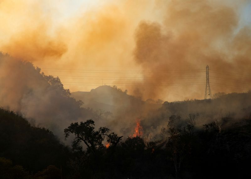 &copy; Reuters. FILE PHOTO: The Bond Fire wildfire burns next to electrical power lines near Modjeska Canyon, California