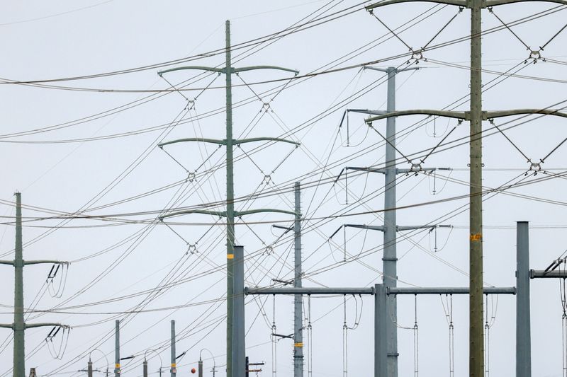 &copy; Reuters. إدارة معلومات الطاقة: استهلاك الكهرباء في أمريكا سيرتفع في 2021 مع تخفيف الحكومات الإغلاقات