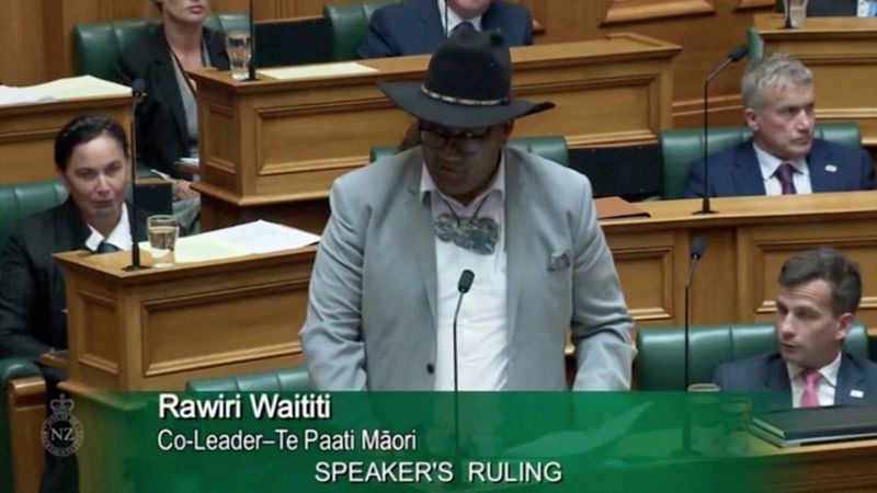 © Reuters. Maori Party co-leader Rawiri Waititi speaks in Parliament in Wellington