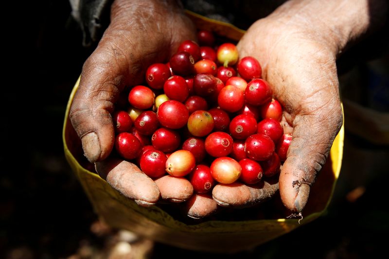 &copy; Reuters. Grãos de café