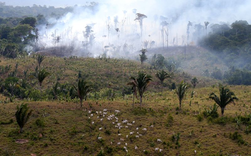 &copy; Reuters. Área sendo queimada na região de Itaituba, no Pará