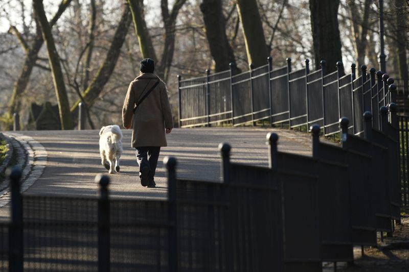 &copy; Reuters. A woman walks with her dog at the Volkspark Friedrichshain in Berlin