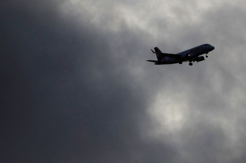 &copy; Reuters. A plane prepares to land at the Nantes Atlantique airport in Bouguenais