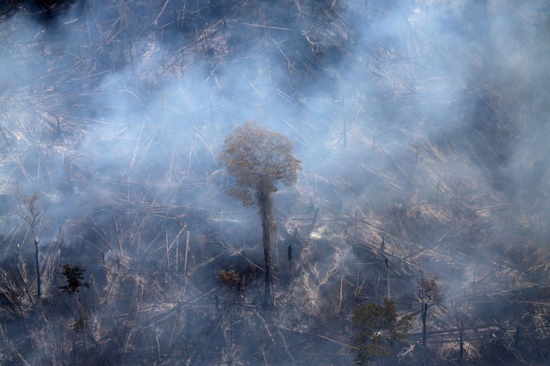 &copy; Reuters. FILE PHOTO: An aerial view shows a tract of Amazon jungle burning as it is cleared by farmers in Itaituba