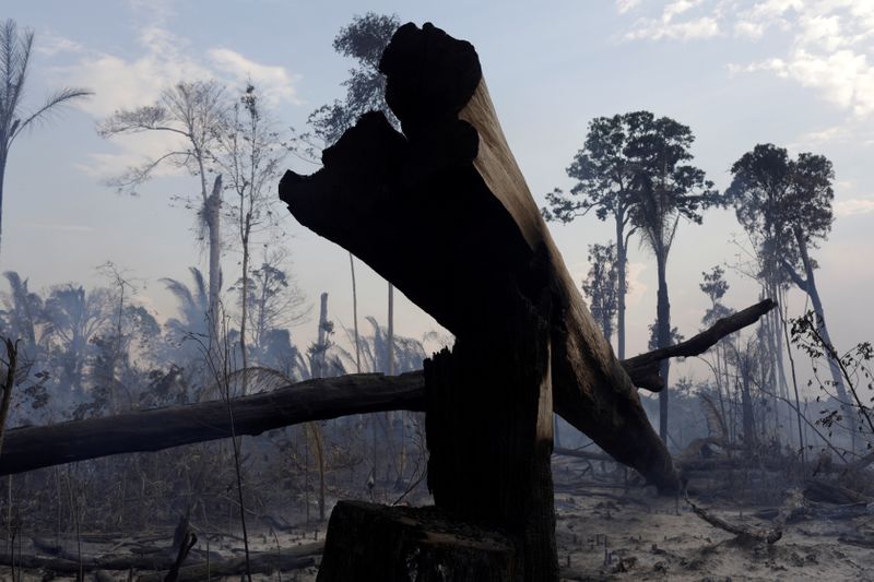 © Reuters. FILE PHOTO: A burning tract of the Amazon forest as it is cleared by farmers, in Rio Pardo