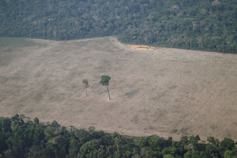 &copy; Reuters. Área desmatada da Amazônia perto de Porto Velho, em Rondônia