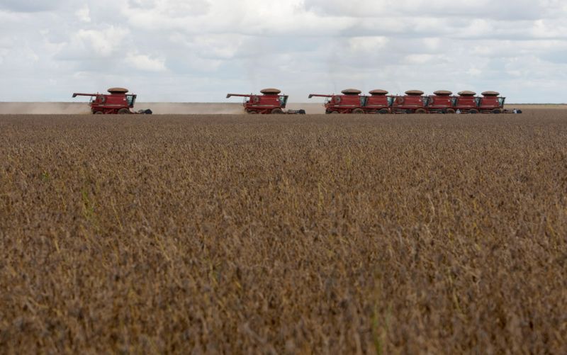 &copy; Reuters. Trabalhos de colheita de soja no Mato Grosso