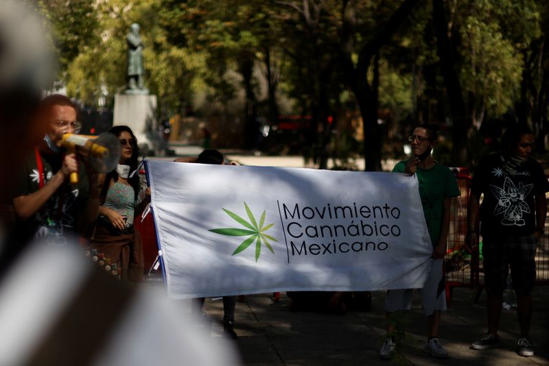 © Reuters. Activists in favour of the legalization of marijuana take part in a march as they wait for the Congress to pass a bill that would legalize it, in Mexico City