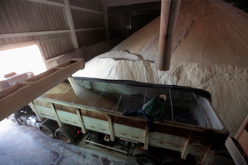 &copy; Reuters. Caminhão é carregado com açúcar em usina em Valparaíso, em São Paulo, Brasil