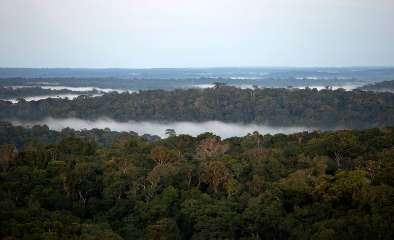 &copy; Reuters. Vista desde el Observatorio de la Torre Alta del Amazonas (ATTO) en Sao Sebastiao do Uatuma en medio de la selva amazónica en el estado de Amazonas
