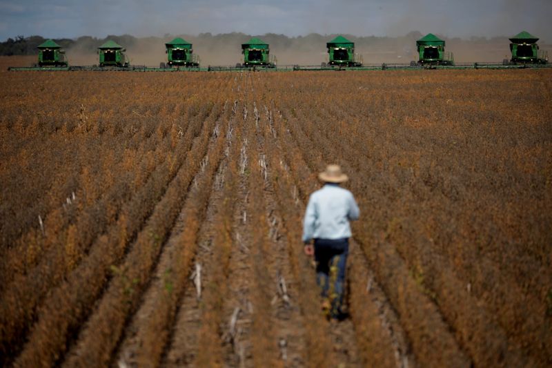 &copy; Reuters. Colheitadeiras em atividade durante abertura da colheita de grãos em Caseara, Tocantins