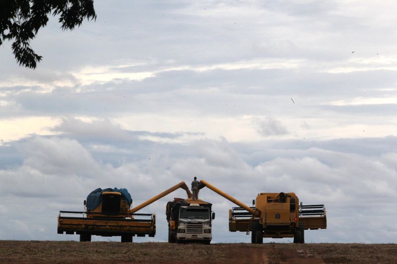 &copy; Reuters. Colheita de soja em uma fazenda em Primavera do Leste, no Mato Grosso