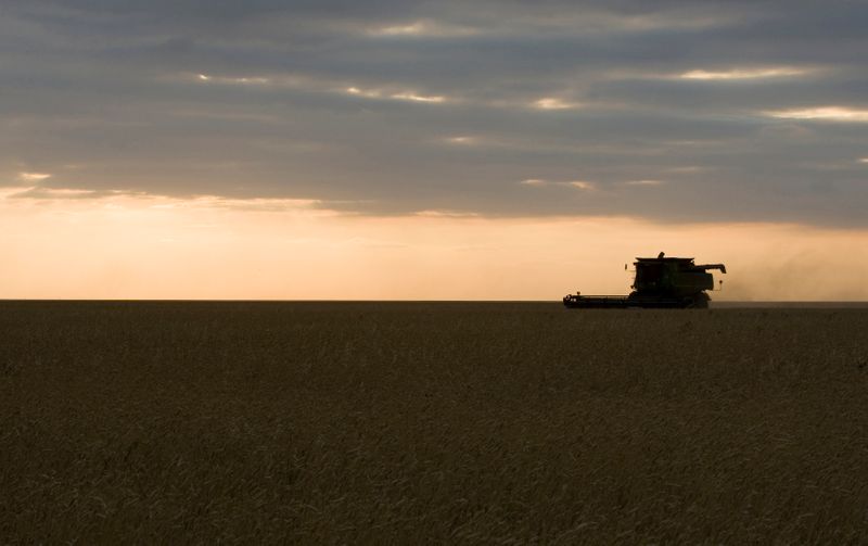 &copy; Reuters. To match feature GRAIN-KAZAKHSTAN/