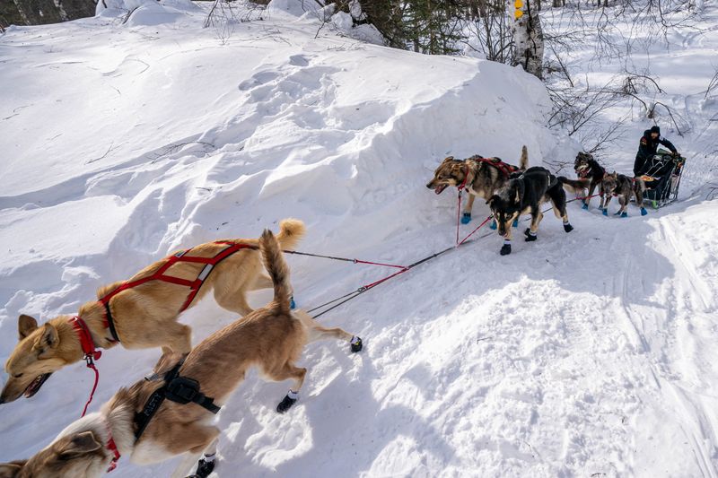 &copy; Reuters. Richie Diehl mushes up the first part of the Happy River Steps during the Iditarod Dog Sled Race