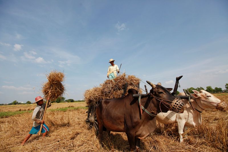 &copy; Reuters. FILE PHOTO: &apos;Troubling&apos; signs of Myanmar food prices rises since coup - U.N.