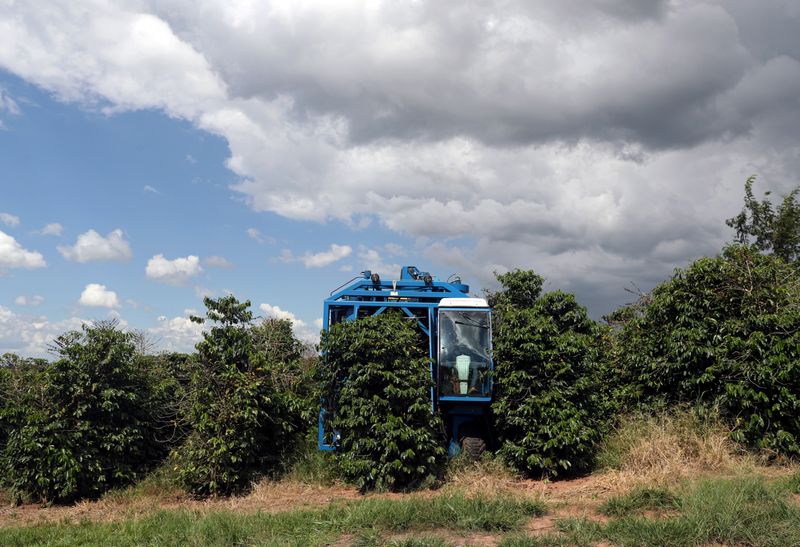 &copy; Reuters. FILE PHOTO: A harvesting machine is seen at a coffee plantation in Sao Sebastiao do Paraiso