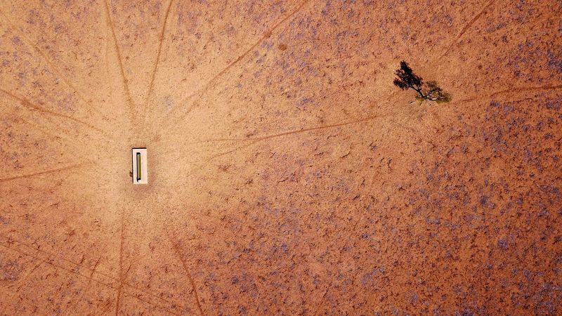 &copy; Reuters. FILE PHOTO: A lone tree stands near a water trough in a drought-effected paddock located on the outskirts of Walgett, in New South Wales, Australia,