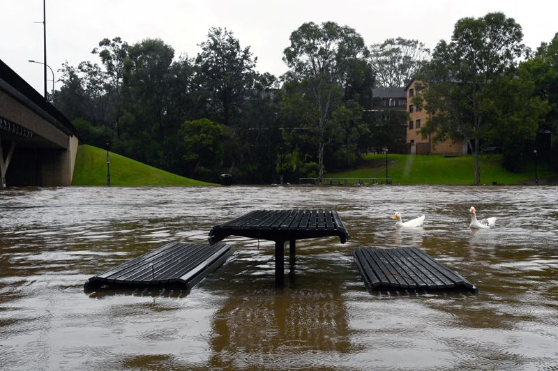 Heavy rains in Australia's east bring worst floods in 50 years