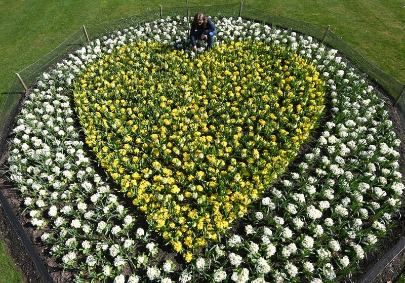 &copy; Reuters. Planting tribute at Kew Gardens to remember those lost to COVID-19 at Royal Botanic Gardens, Kew, London