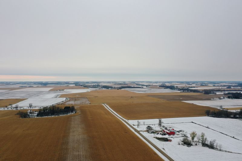 © Reuters. Derrydale Farm in Belle Plaine, Minnesota as Biden campaign pushes for rural voters