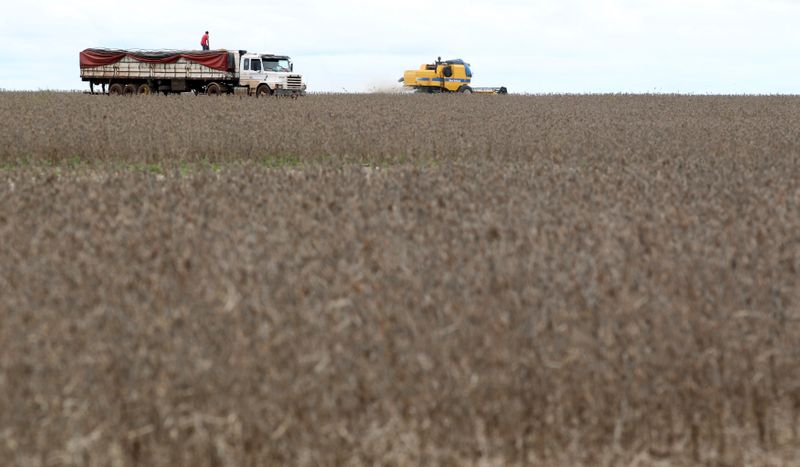 &copy; Reuters. Caminhão é carregado com soja em fazenda no Brasil