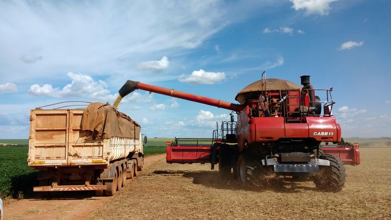 &copy; Reuters. Colheita de soja em uma fazenda em Campo Verde, no Mato Grosso