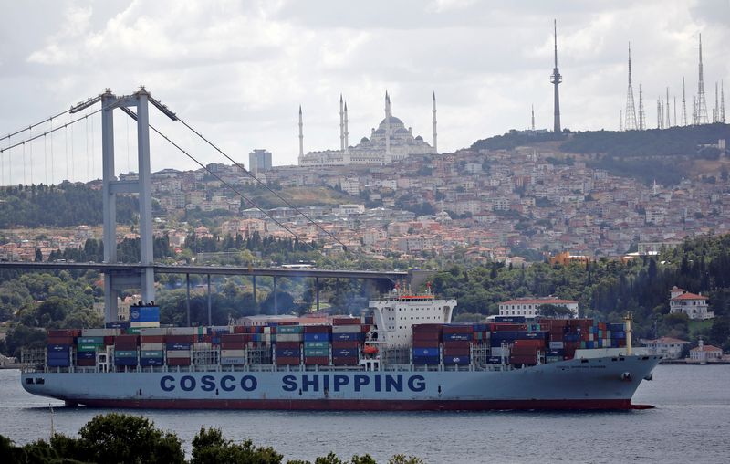 &copy; Reuters. FILE PHOTO: The Cosco Shipping Danube, a container ship of the China Ocean Shipping Company (COSCO), sails in the Bosphorus, on its way to the Mediterranean Sea, in Istanbul