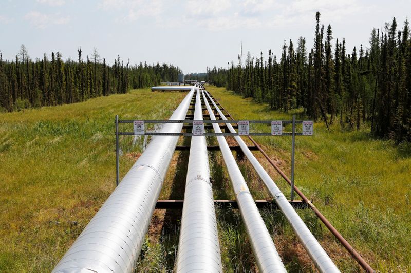 &copy; Reuters. FILE PHOTO: Oil, steam and natural gas pipelines run through the forest at the Cenovus Foster Creek SAGD oil sands operations near Cold Lake.