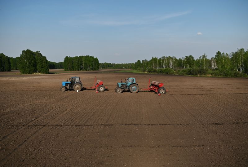 &copy; Reuters. Tractors with seeders are seen in a field as employees sow wheat in Omsk region