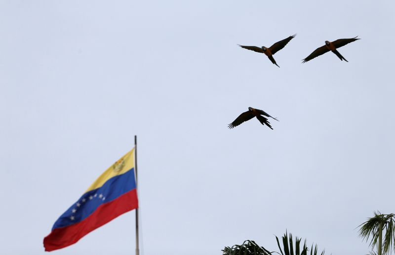 &copy; Reuters. Foto de archivo ilustrativa de una bandera de Venezuela en Caracas