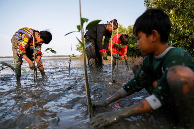 &copy; Reuters. Environmentalist fights Indonesia&apos;s coastal erosion with fairy tales, puppet shows and mangrove saplings