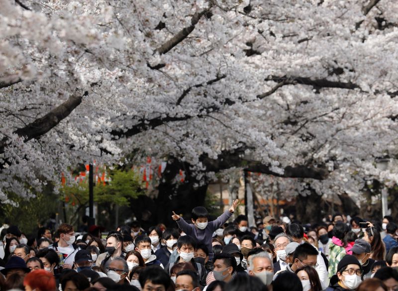 &copy; Reuters. 東京都で新たに249人が新型コロナに感染、重症46人