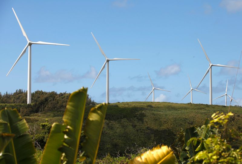 &copy; Reuters. Geração de energia eólica no Havaí