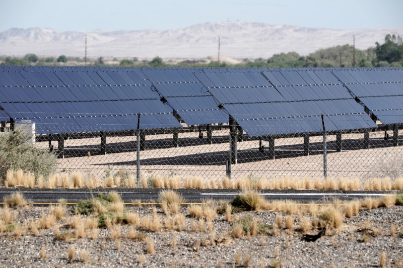 &copy; Reuters. FOTO DE ARCHIVO: Paneles solares en un campo de El Centro