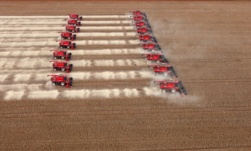 © Reuters. Trabalhos de colheita de soja em Tangará da Serra, Cuiabá