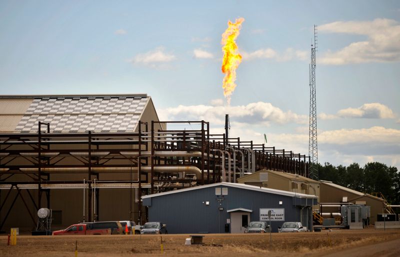 © Reuters. Canadian Natural Resources Limited's Primrose Lake oil sands project is seen near Cold Lake, Alberta