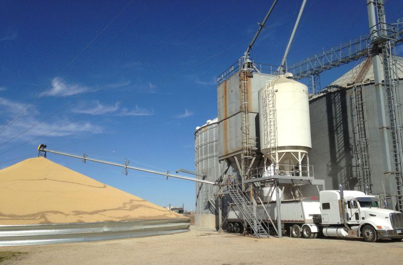 &copy; Reuters. IMAGEN DE ARCHIVO. Un camión es cargado con maíz cerca de una pila de soja en el elevador de granos Matawan Grain &amp; Feed cerca de New Richland Minnesota, EEUU