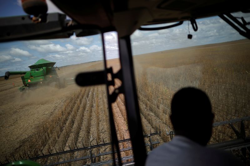 &copy; Reuters. Trabalhos de colheita de grãos em Caseara, Tocantins