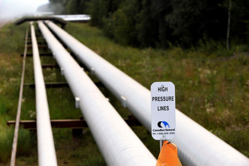 © Reuters. FILE PHOTO: Canadian Natural Resources Limited's Primrose Lake oil sands project is seen near Cold Lake, Alberta